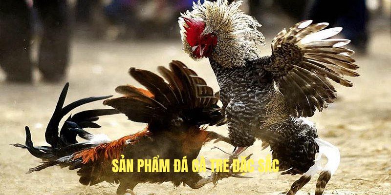 Sản phẩm cá cược gà tre 69VN